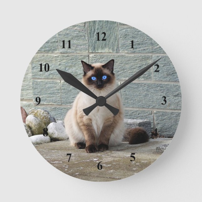 Reloj Redondo Mediano Elegante foto de gato siamés (Anverso)