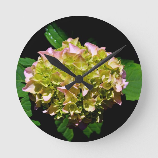 Reloj Redondo Mediano Elegante hidráneas florales rosa y verde suave (Anverso)