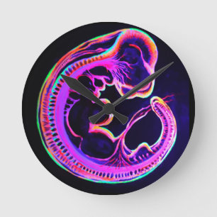 Reloj Redondo Mediano Embrión fluorescente brillando en la oscuridad