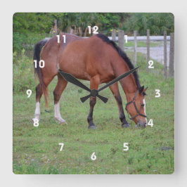 Reloj Redondo Mediano equino de pastoreo marrón y blanco