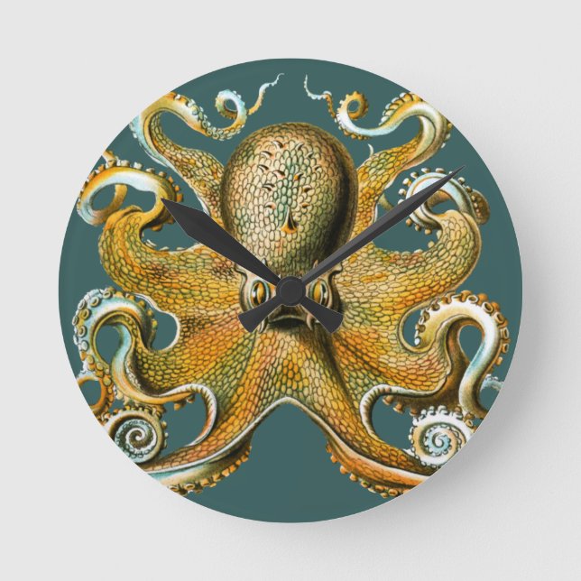 Reloj Redondo Mediano Ernst Haeckel’s Octopus (Anverso)