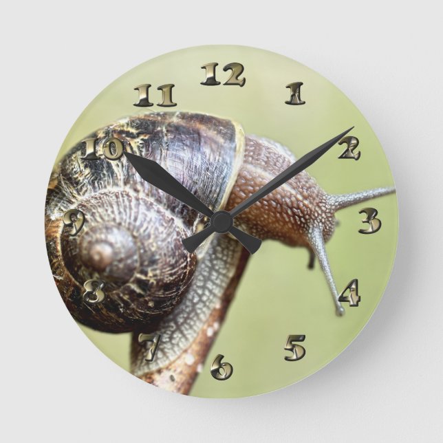 Reloj Redondo Mediano Escargotas - El rico delight (Anverso)