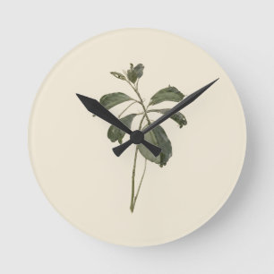 Reloj Redondo Mediano Espécimen de hoja verde botánica prensada vintage