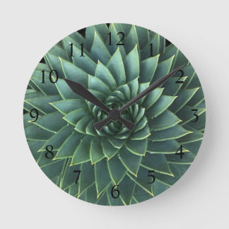Reloj Redondo Mediano Espiral Aloe Polyphylla Succulum
