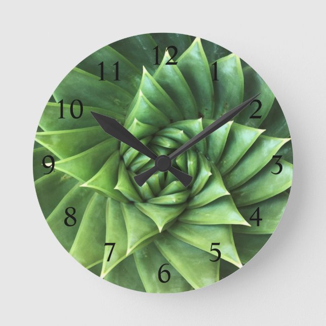 Reloj Redondo Mediano Espiral verde brillante Aloe Polyphylla Suculento (Anverso)
