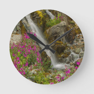 Reloj Redondo Mediano Estados Unidos, Alaska, Parque Nacional Glacier Ba