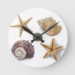 Reloj Redondo Mediano estrellas de mar elegantes del seashell de la