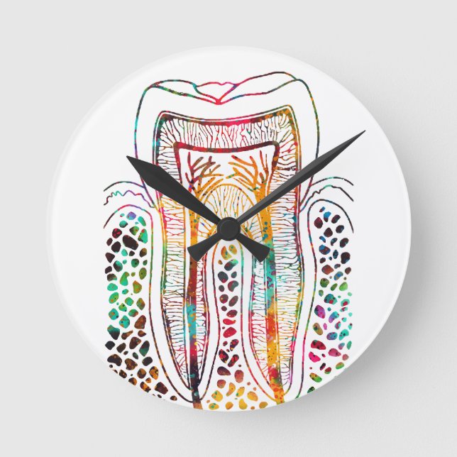 Reloj Redondo Mediano Estructura del diente (Anverso)