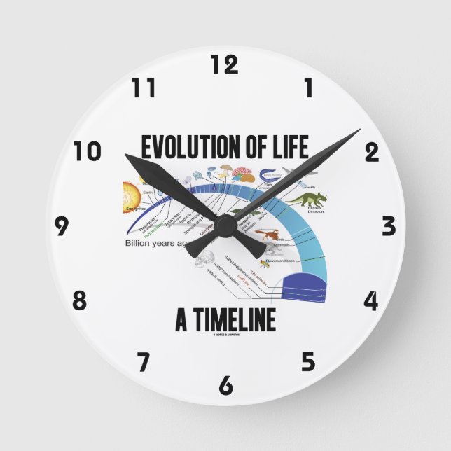 Reloj Redondo Mediano Evolución De La Vida A Cronología (Biología) (Anverso)