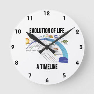 Reloj Redondo Mediano Evolución De La Vida A Cronología (Biología)