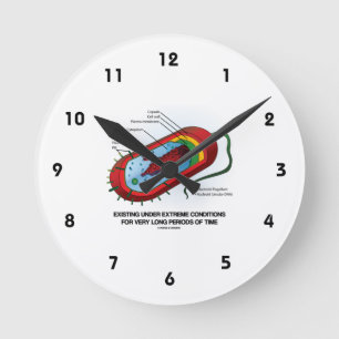 Reloj Redondo Mediano Existencia En Condiciones Extremas Muy Largo