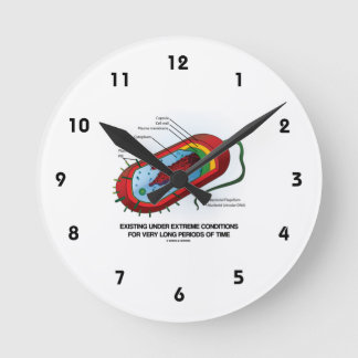 Reloj Redondo Mediano Existencia En Condiciones Extremas Muy Largo