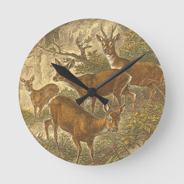 Reloj Redondo Mediano Family of Roe - Deers in a Forest (Anverso)