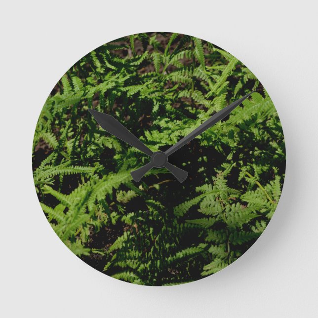 Reloj Redondo Mediano Fermones del suelo forestal (Anverso)