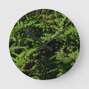 Reloj Redondo Mediano Fermones del suelo forestal
