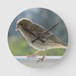 Reloj Redondo Mediano Finch en el sol de la mañana.