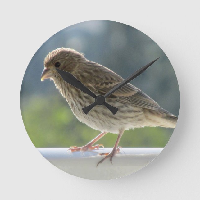 Reloj Redondo Mediano Finch en el sol de la mañana. (Anverso)