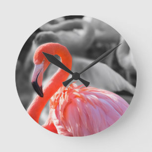 Reloj Redondo Mediano Flamingo Bird Photography