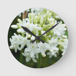 Reloj Redondo Mediano Flor Agapanthus blanca