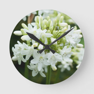 Reloj Redondo Mediano Flor Agapanthus blanca