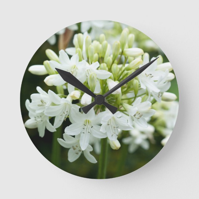Reloj Redondo Mediano Flor Agapanthus blanca (Anverso)