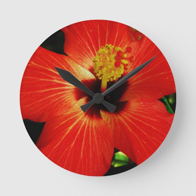 Reloj Redondo Mediano Flor anaranjada roja brillante del hibisco (Anverso)