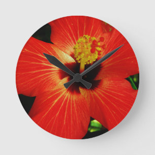 Reloj Redondo Mediano Flor anaranjada roja brillante del hibisco