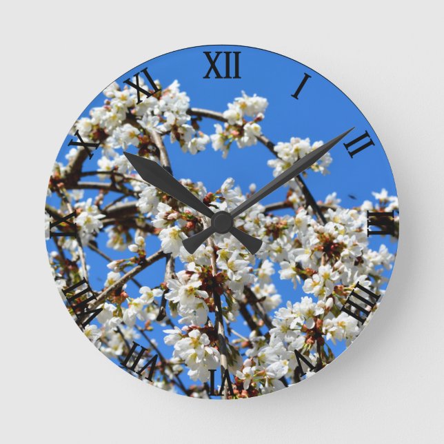 Reloj Redondo Mediano Flor blanca de primavera, cerezo (Anverso)