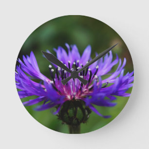 Reloj Redondo Mediano Flor de Aciano Azul Florece Paz Amor Destino
