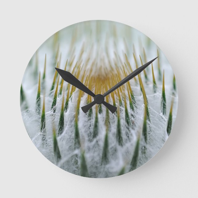 Reloj Redondo Mediano Flor de cardo afilado (Anverso)