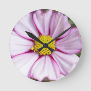 Reloj Redondo Mediano Flor de Cosmos (bidens formosa)