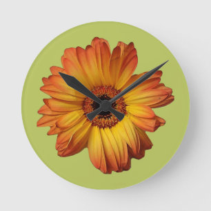 Reloj Redondo Mediano Flor de gerbera Naranja soleado