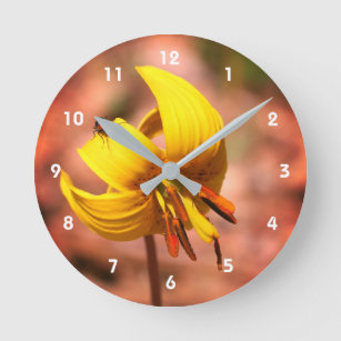 Reloj Redondo Mediano Flor De Llanto De Trucha Silvestre Y Amigo De Inse