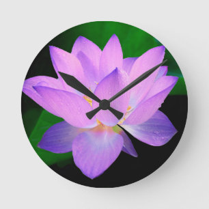 Reloj Redondo Mediano Flor de Loto Elegante