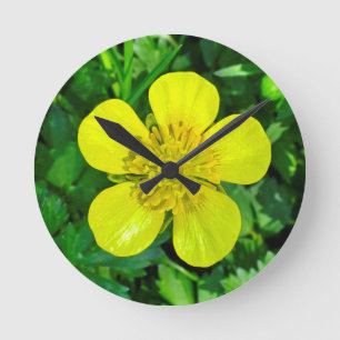 Reloj Redondo Mediano Flor de mariposa vibrante.
