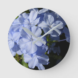 Reloj Redondo Mediano Flor de Plumbago Azul Hawai Cushion Coaster Acry