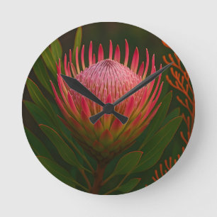 Reloj Redondo Mediano Flor de Protea Rosa Exótico Florecer