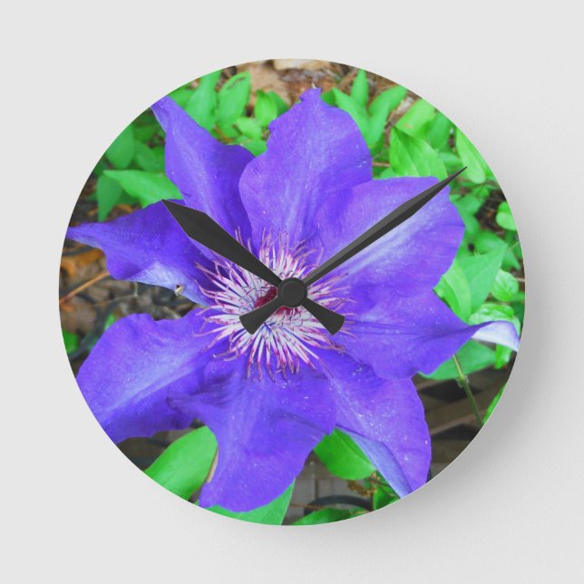 Reloj Redondo Mediano Flor del Clematis púrpura (Anverso)