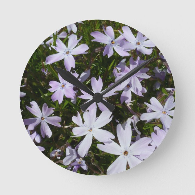 Reloj Redondo Mediano Flor del Phlox (Anverso)
