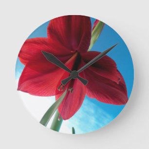 Reloj Redondo Mediano Flor roja Vivid Amaryllis