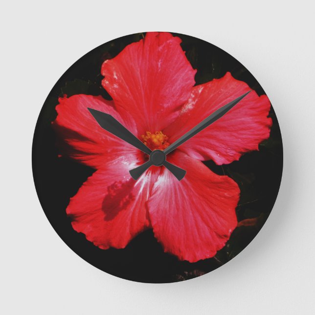 Reloj Redondo Mediano Flor rosada caliente del hibisco en negro (Anverso)