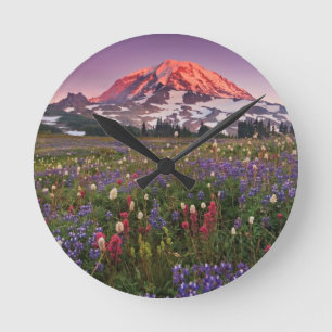 Reloj Redondo Mediano Flores coloridas en un parque nacional más