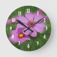 Flores Cosmos rosadas