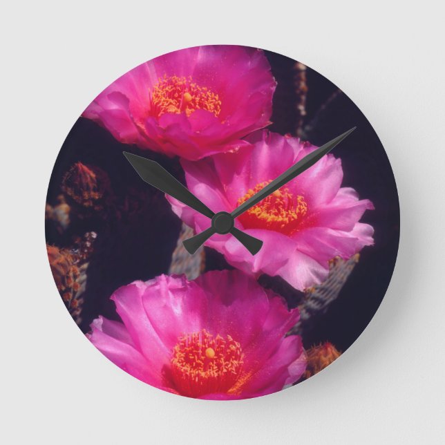 Reloj Redondo Mediano Flores de cactus de cola 2 (Anverso)
