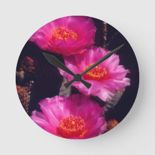 Reloj Redondo Mediano Flores de cactus de cola 2