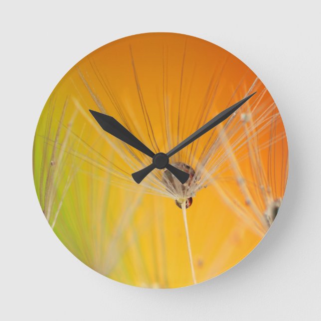 Reloj Redondo Mediano Flores de flores de flores de Dandelion destruyen  (Anverso)