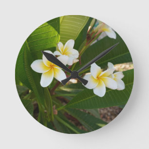 Reloj Redondo Mediano Flores fragantes de Frangipani
