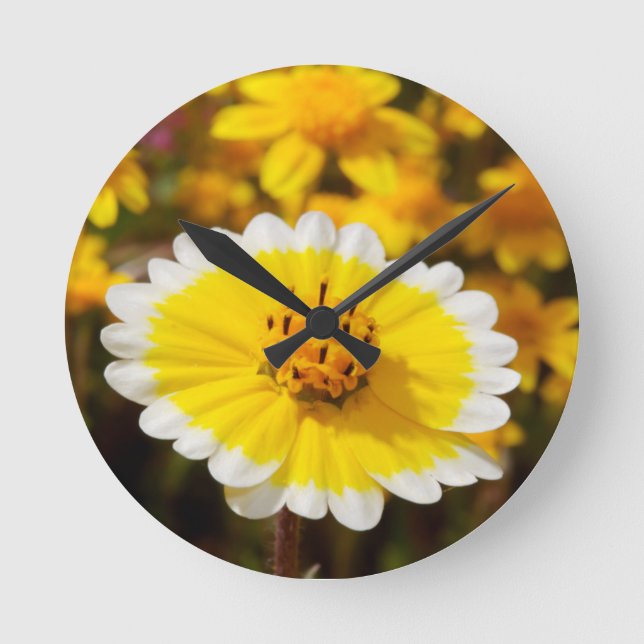 Reloj Redondo Mediano Flores silvestres Tidy Tip (Anverso)