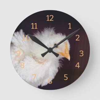 Reloj Redondo Mediano Fluctuación