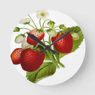 Reloj Redondo Mediano Food fruit leaf leafy leaves